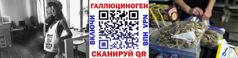 Псилоцибиновые грибы Psilocybe  Учалы 
